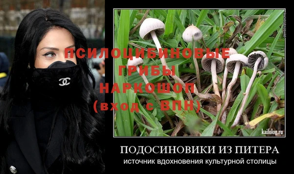 PSILOCYBIN Абдулино
