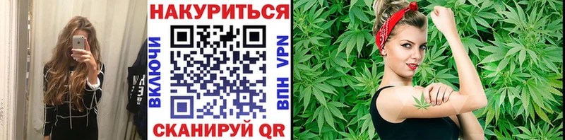 Каннабис семена  Ессентукская 